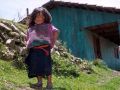 guate 5