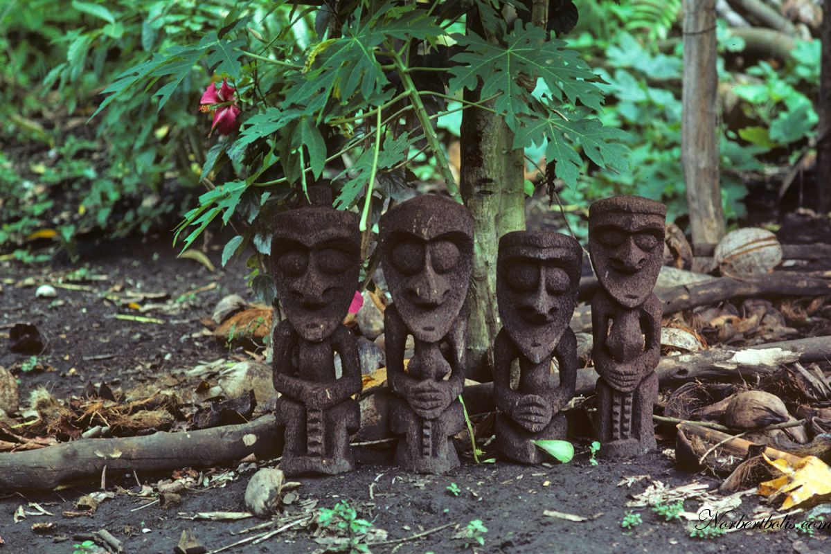 1 Vanuatu Ambrym 050 Site