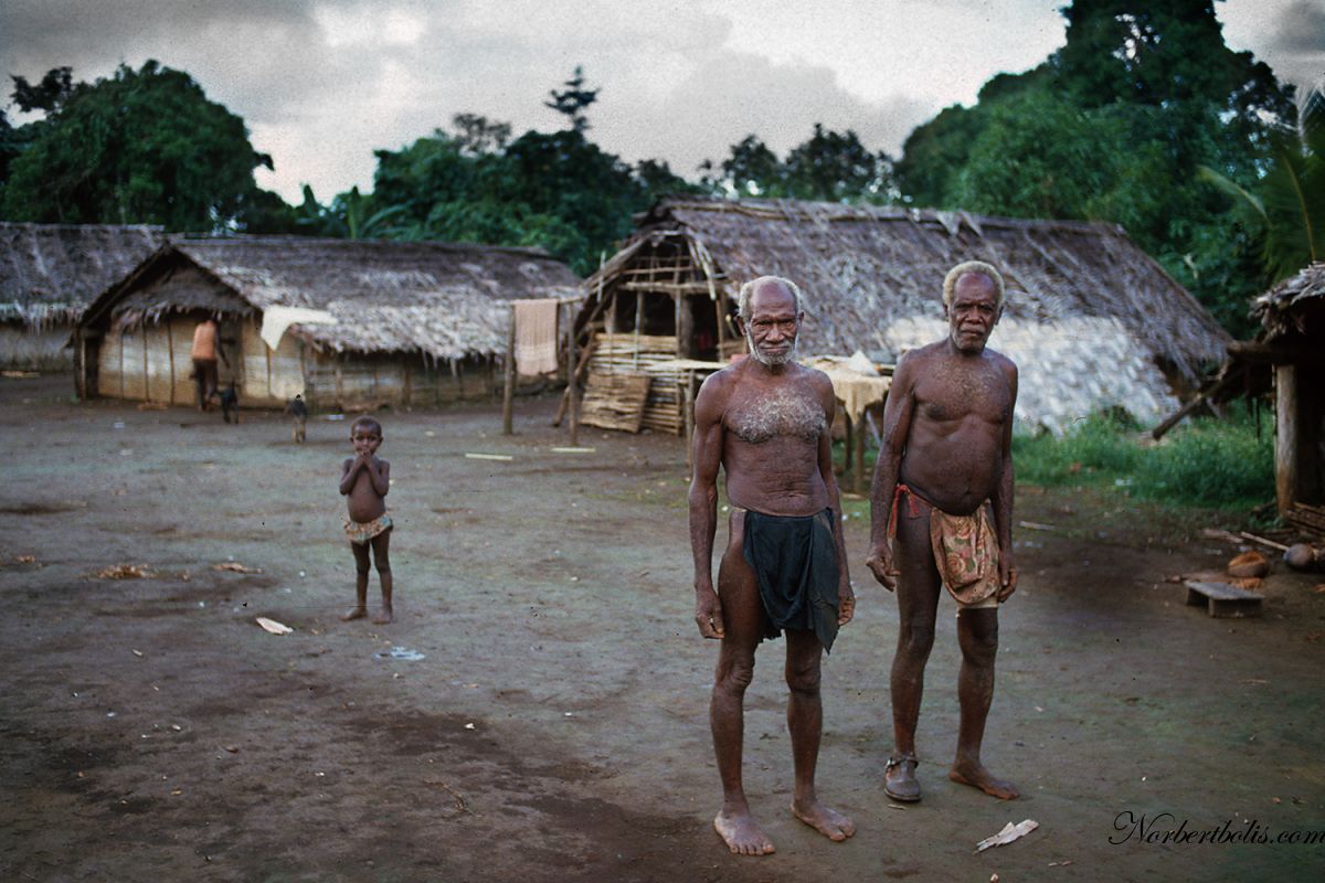 1 Vanuatu Santo008 Site