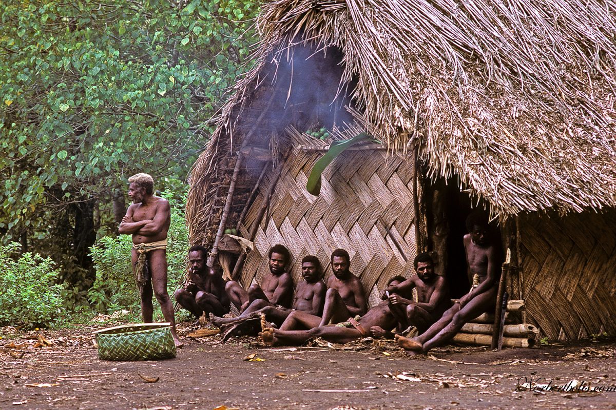 1 Vanuatu Tanna 33 Site