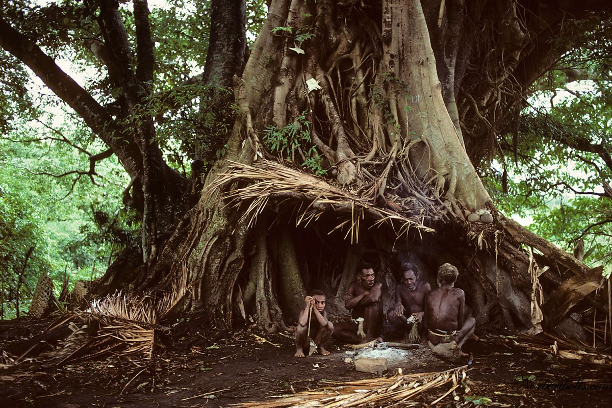 1 Vanuatu Tanna 40 Site