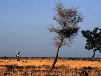 Burkina Fasso