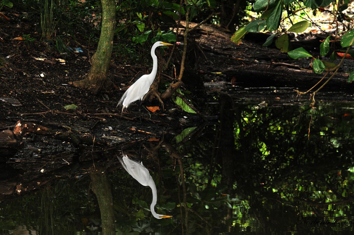 Costa Rica 10